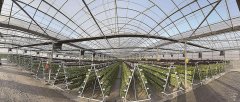 初步建成了总面积200多亩的新品种和新手艺引进